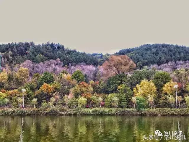 厢寺川——秋色宜人