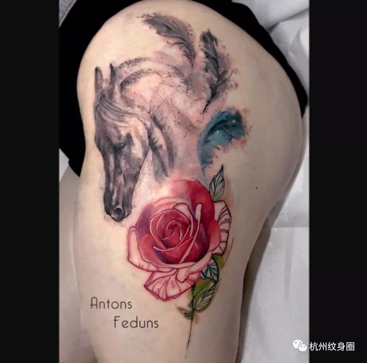 tattoo | 纹身素材:马