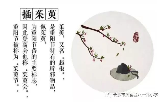 重阳节插茱萸可以避难消灾,有的插在头上,有的制成香囊佩戴,还有的