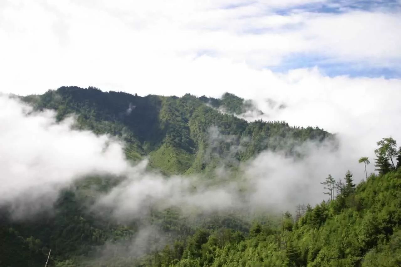 昆仑山发脉石山土岭为阳,中干线位于广西大明山脉