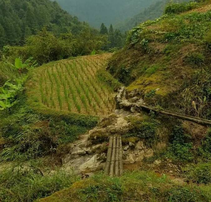 天柱高酿之克烈侗寨回龙桥