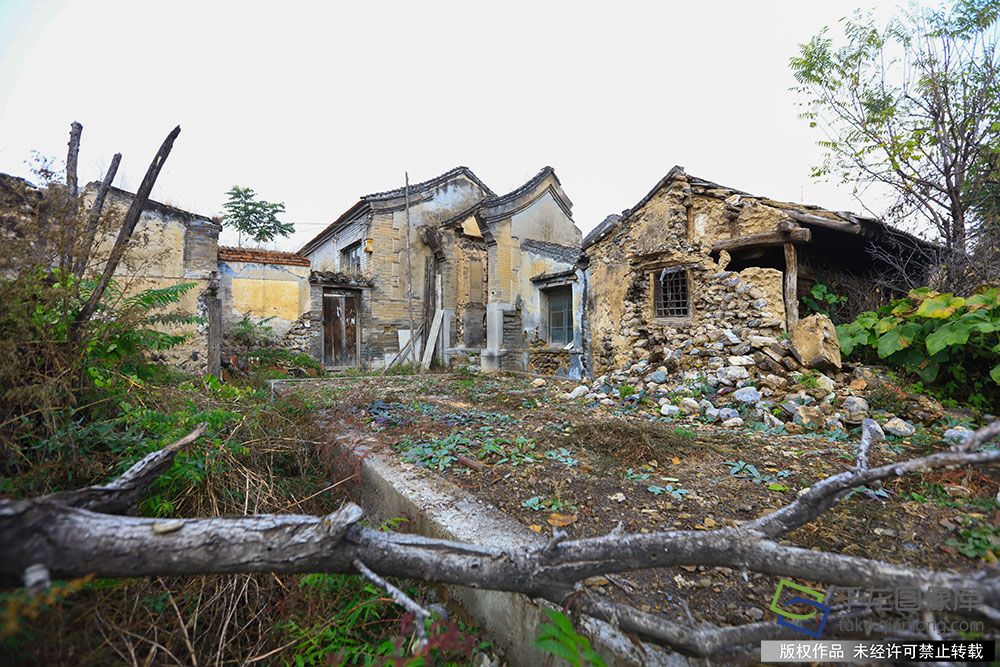 西胡林为北京市门头沟区斋堂镇辖村,南倚大南梁,北临清水河.