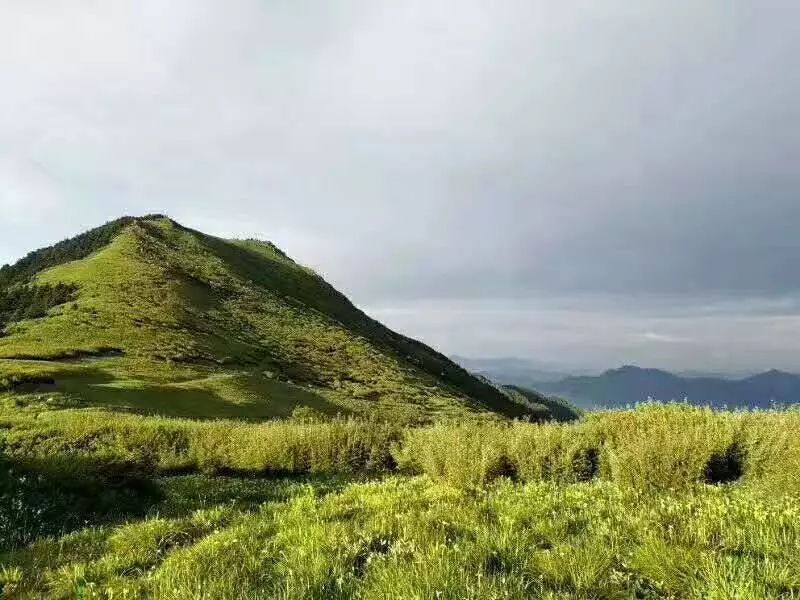 高校户外10月29日周日丨分水岭高山草甸山野火锅丨一日游