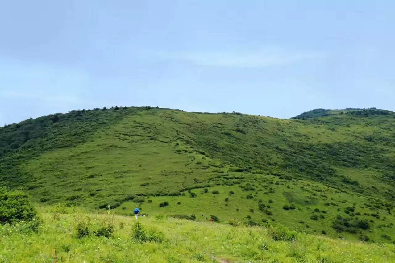 活动人数:30人成团,50人满员 东坪沟高山草甸 秦岭之巅 这里是秦岭