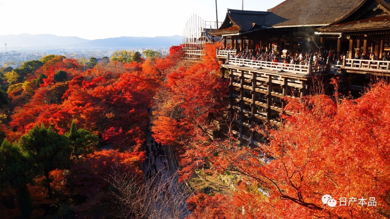 日本旅游 | 祗园,触摸京都古风古韵的心脏