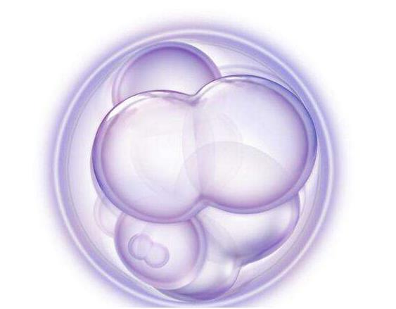 什么是单能干细胞?_搜狐健康_搜狐网