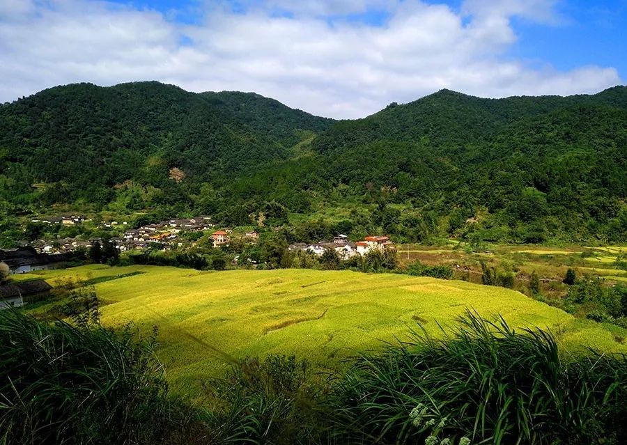 这就是我们佛冈的 水头上潭洞村 大山环绕,风光秀丽的 阳光在上面