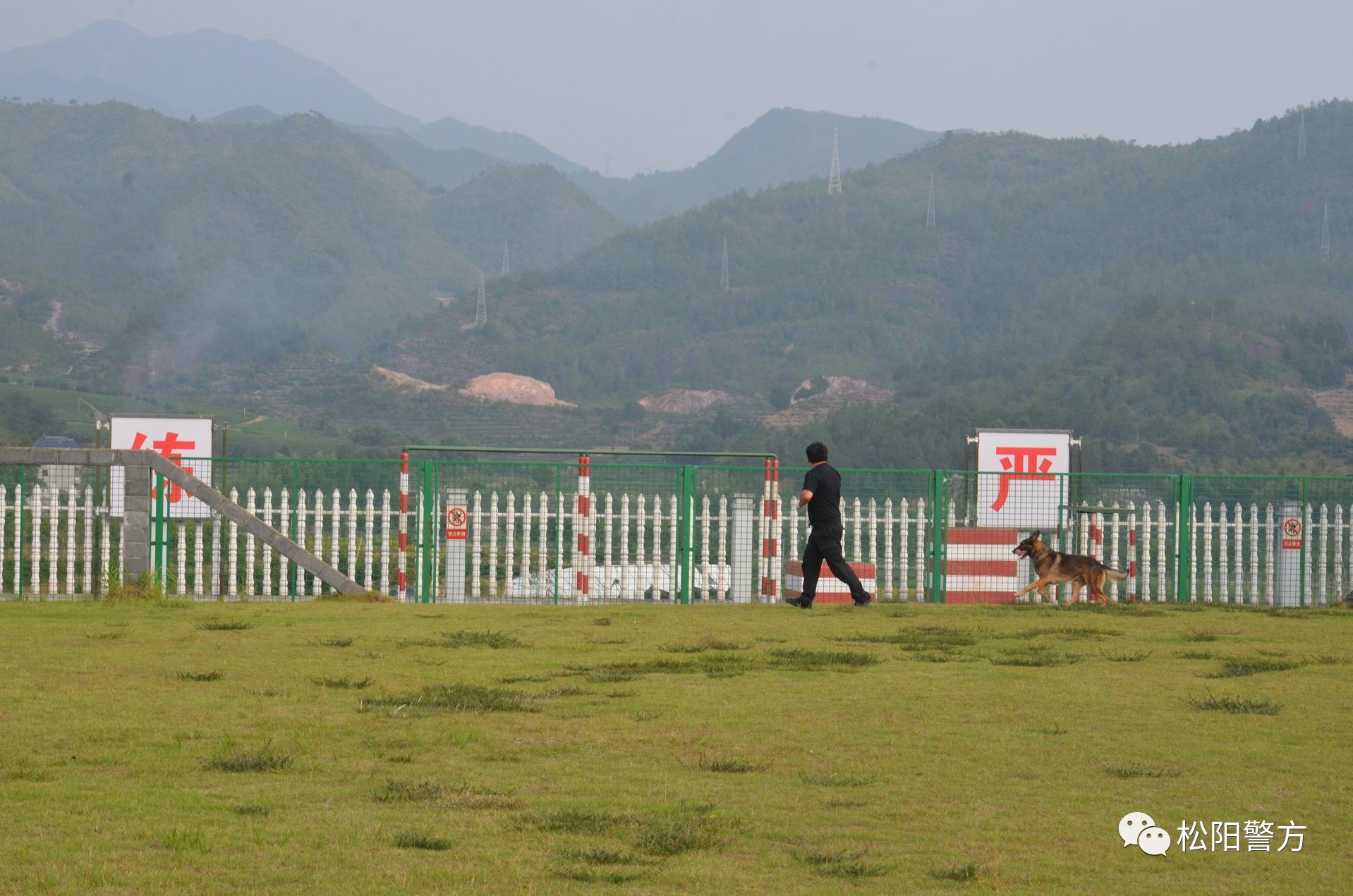 松阳市人口_松阳古市好的旅馆