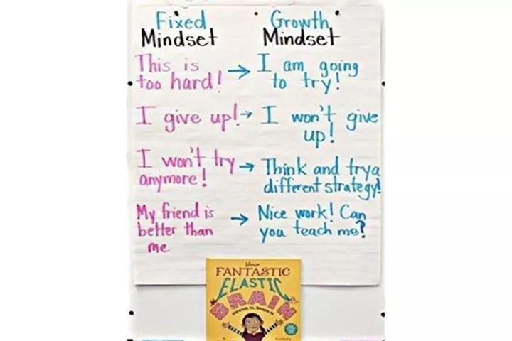 成长性思维(growth mindset)和固定性思维(fixed mindset)