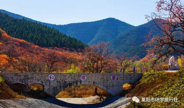 一山一叶一古城临朐官护山赏红叶青州古城一日游