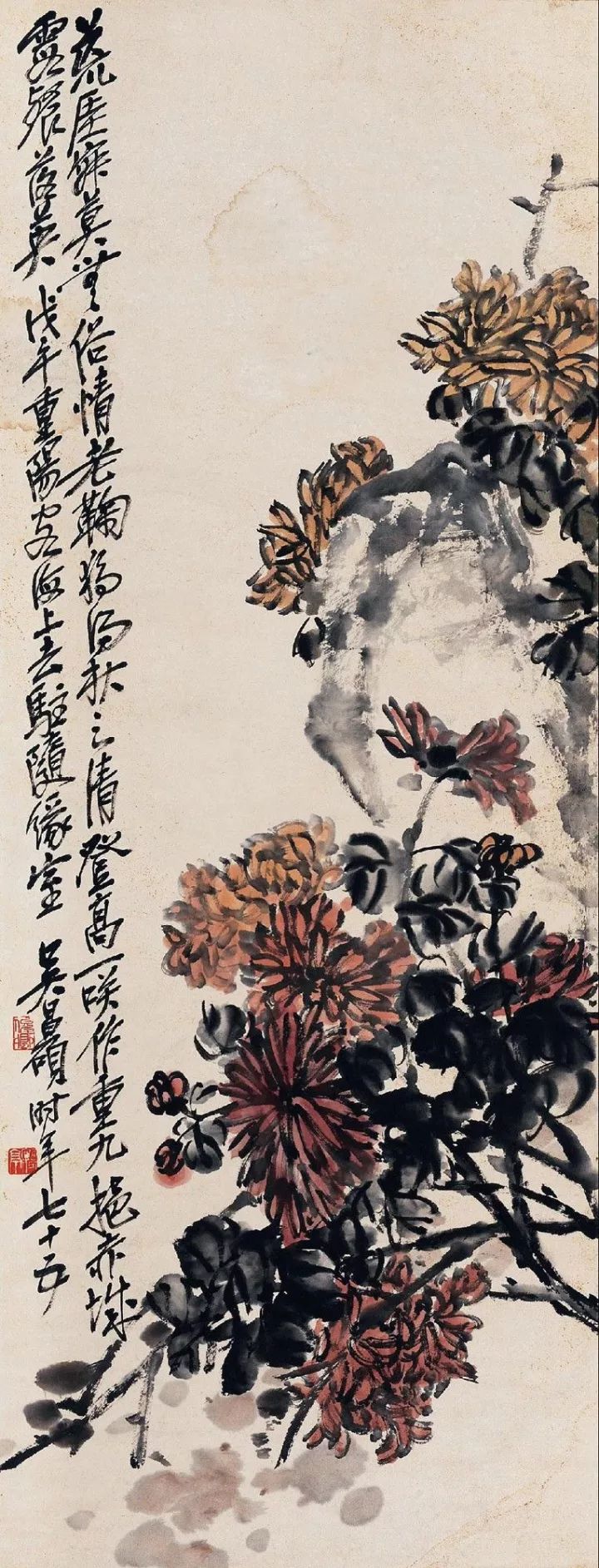 清末海派名家:吴昌硕画菊作品欣赏