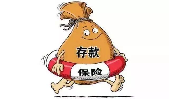 存款保险