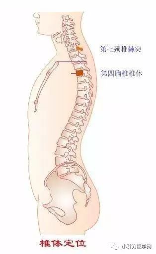 下位胸椎与腰骶部常见损伤诊治经验