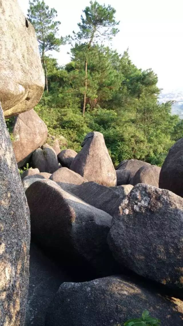 活动回顾丨金秋登山首站-龙泉岩一游!