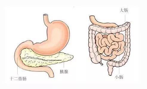 【健康】肠胃有这些症状,你可要当心啦!