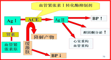 1. 抑制血管紧张素转化酶(ace)活性