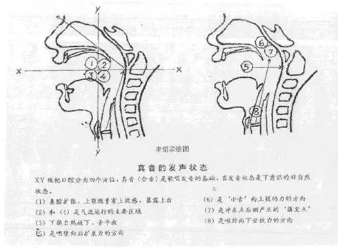 他们的"头"比较钝,其穿透力和射远力相对较差,歌唱的发声原理与之类似