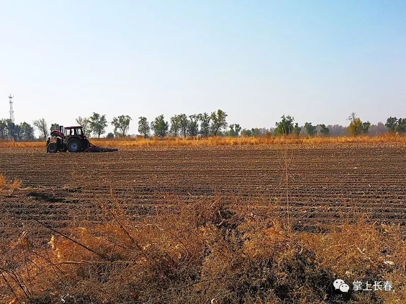 村里有3个合作社,共流转土地0亩,大部分种的都是玉米,大豆只种了20