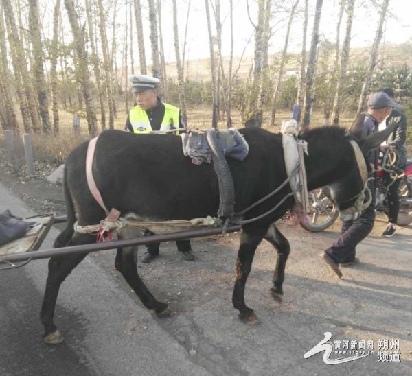 右玉民警帮老大爷推驴车成功避开大货车