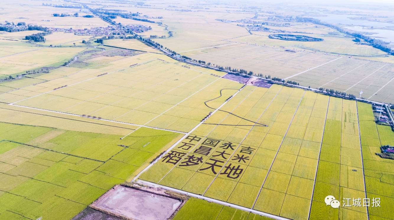 美丽宣言: 优质水稻基地 现代农民热土 永吉县万昌镇新房子村,是远近