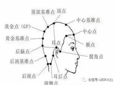 剪发分区分层理念(剪发师初级教程)