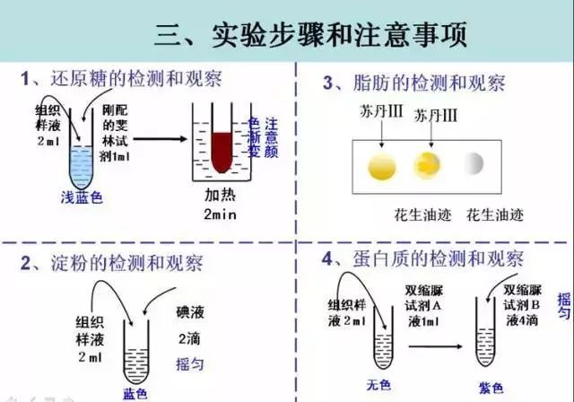 年龄大了健忘什么原理_幸福是什么图片