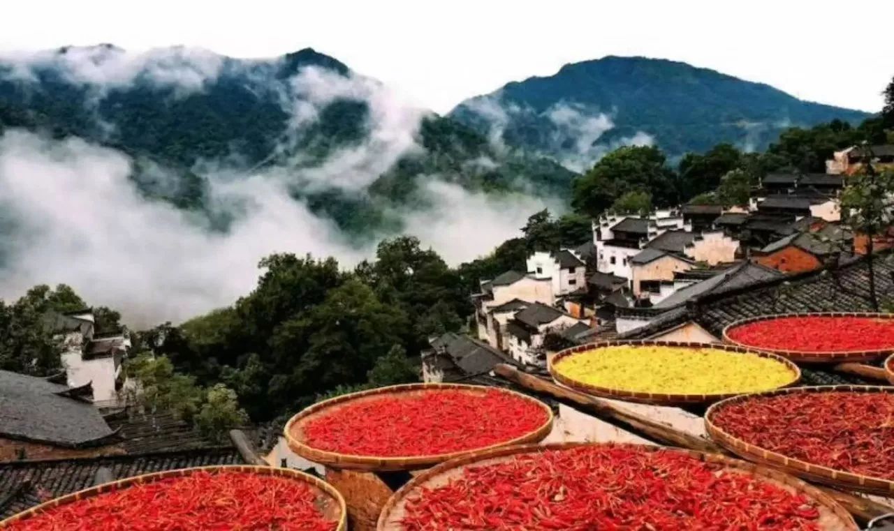 当奔驰宝马车队开进三清山银湖湾生态村会是怎么样的场景!