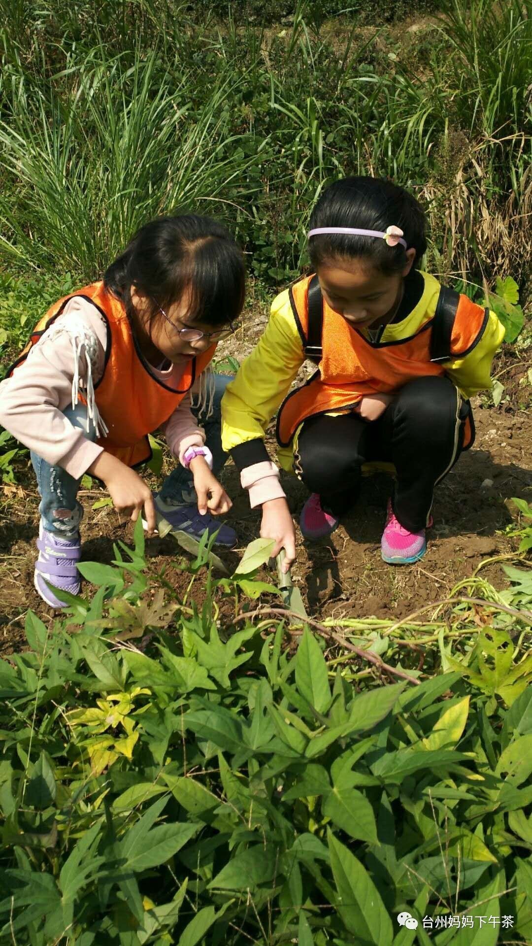 农耕回来后孩子们彻夜不眠