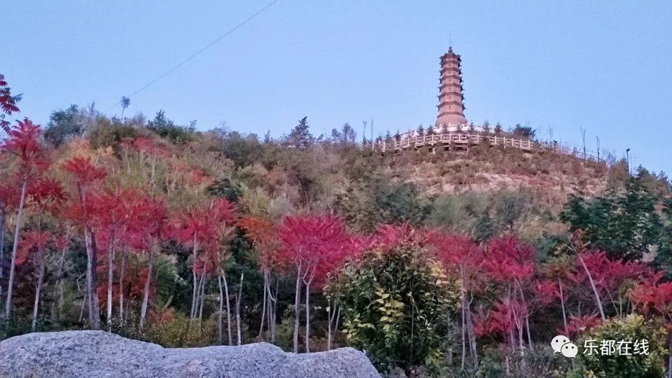 曾经的蚂蚁山,像一只光秃秃的老蚂蚁,俯卧在山头,有点老态龙钟.