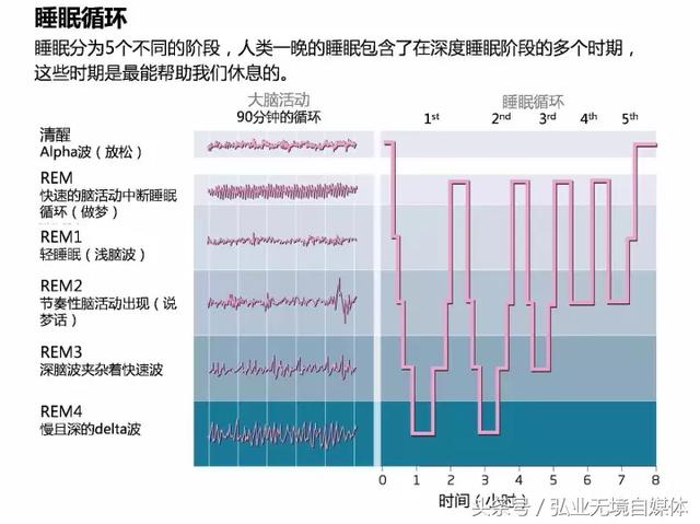 熬夜会变傻睡眠不足造成毒性蛋白在脑内堆积可能引发