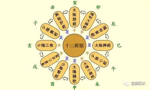 一天24小时怎么养生(供图/网络)