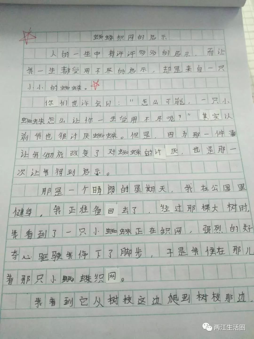 鱼嘴丨实验校5年级作文分享,网友直呼我上了假小学