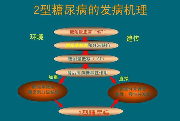 慈美健康:减肥或能帮助有效逆转2型糖尿病症状