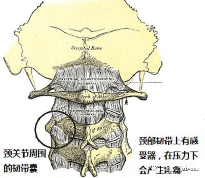 脖子不敢扭动怎么办