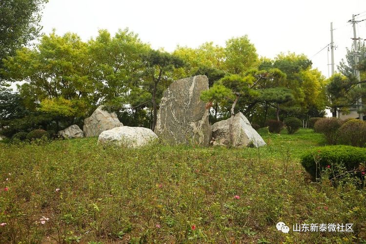 新泰市汶南镇东周村人口_新泰市宫里镇汶城村