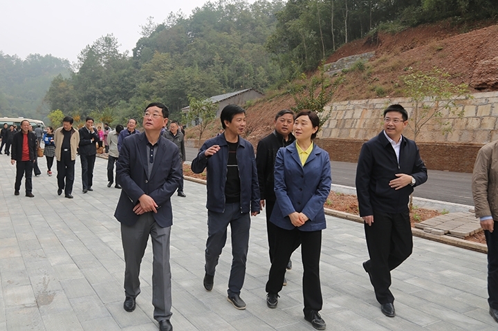 调研组在石门县三圣乡山羊村易地搬迁集中安置点调研