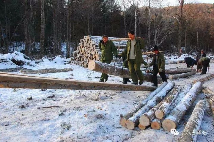 老照片的记忆致敬大兴安岭林区开发建设者