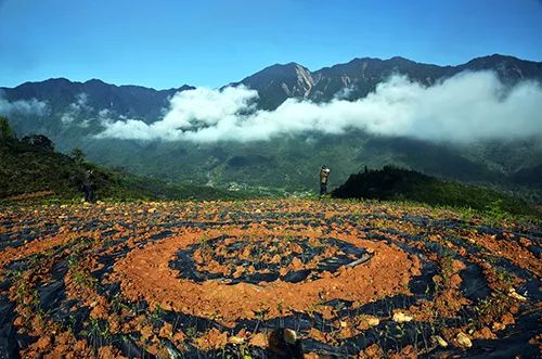 天全县坚持走"中医大康养,二郎山大品牌"的旅游特色发展道路,以全域