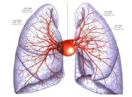 肺纤维化治疗--常见引起肺纤维化的病因