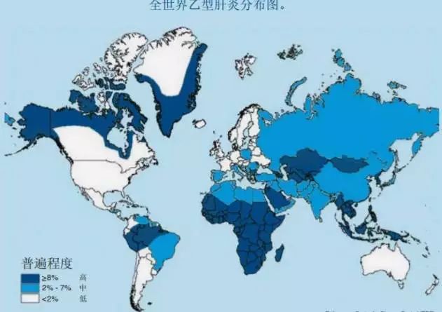 乙肝全球人口_中国乙肝人口