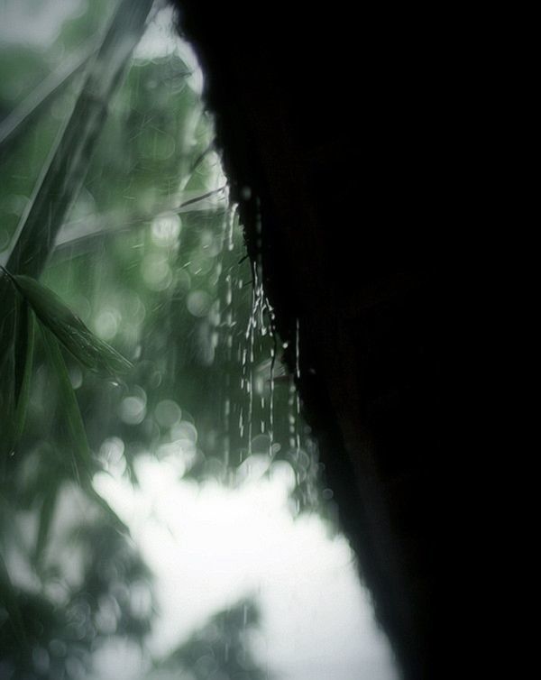 一场落雨,纷飞了谁的思绪