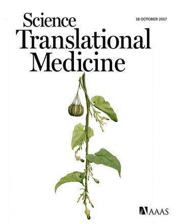 《science translation medicine》杂志封面