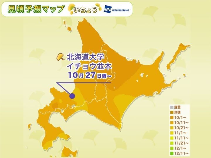 日本北海道东北地区经济总量_日本北海道图片