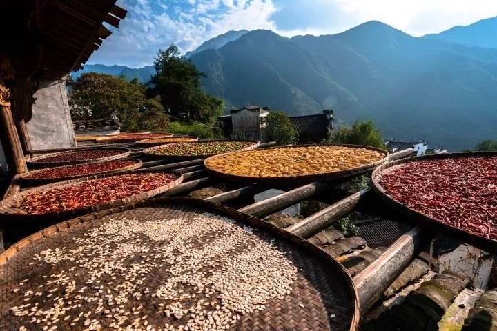 皖南寻秋-宏村,协里,塔川,篁岭,天柱山,周末火车三日之旅