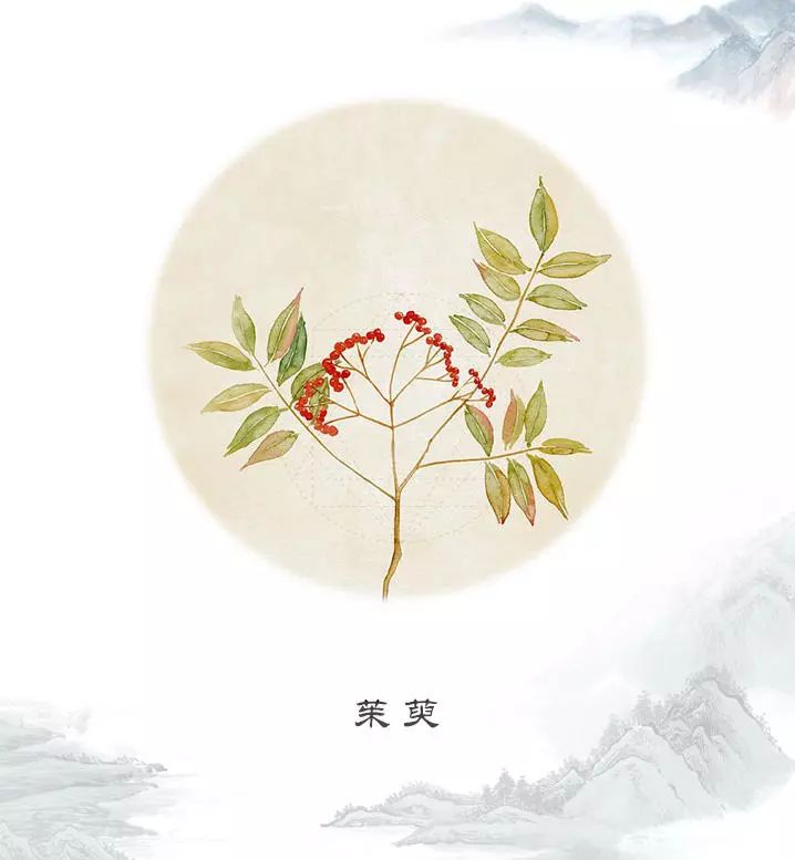 酒俗| 登高,茱萸,菊花酒,重阳节的吉祥三宝是怎么来的?