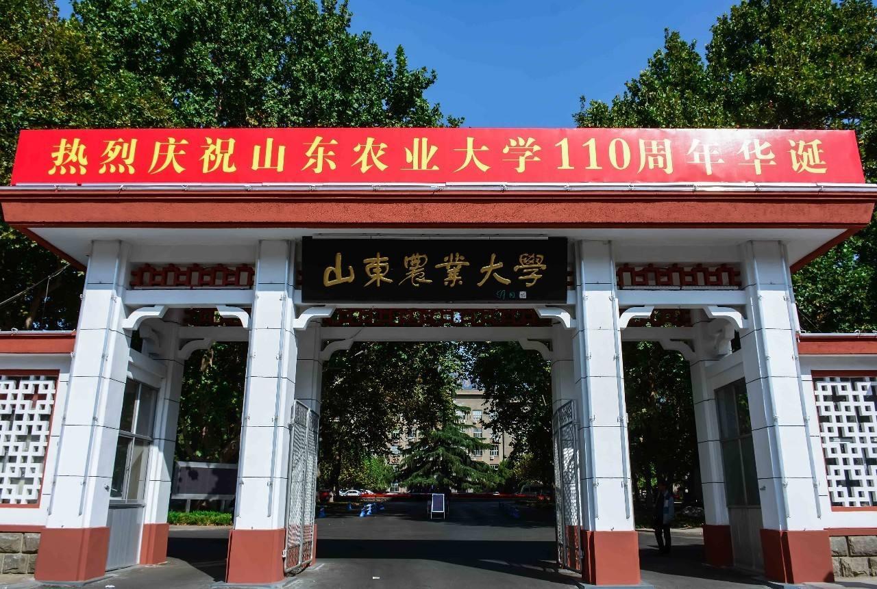 山东农业大学设计图__公共标识标志_标志图标_设计图库_昵图网nipic.com