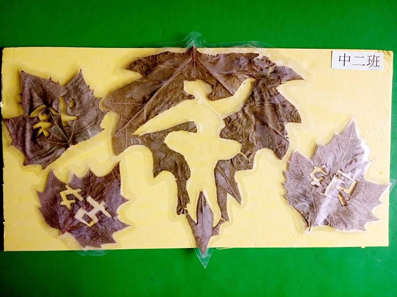 形状,大小等特征的同时,孩子们也掌握了树叶贴画的基本方法