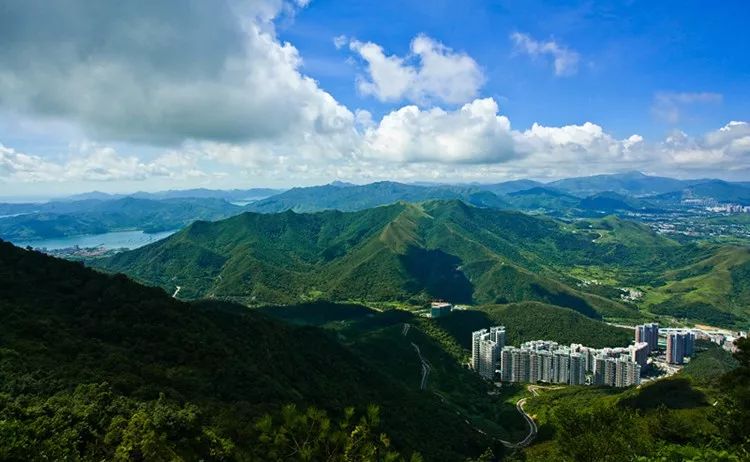 正文 (图片来自网络,为梧桐山) 深圳的热点名山主要有梧桐山,大小南山