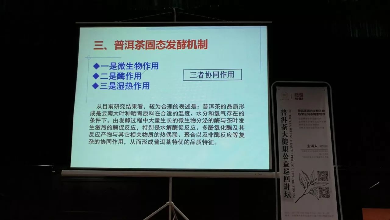 云南农大龚加顺教授解密熟茶发酵密码