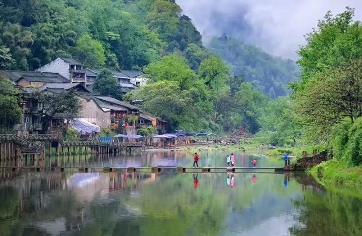 【旅行】瓦屋山,我贪念不忘的漫山彩林